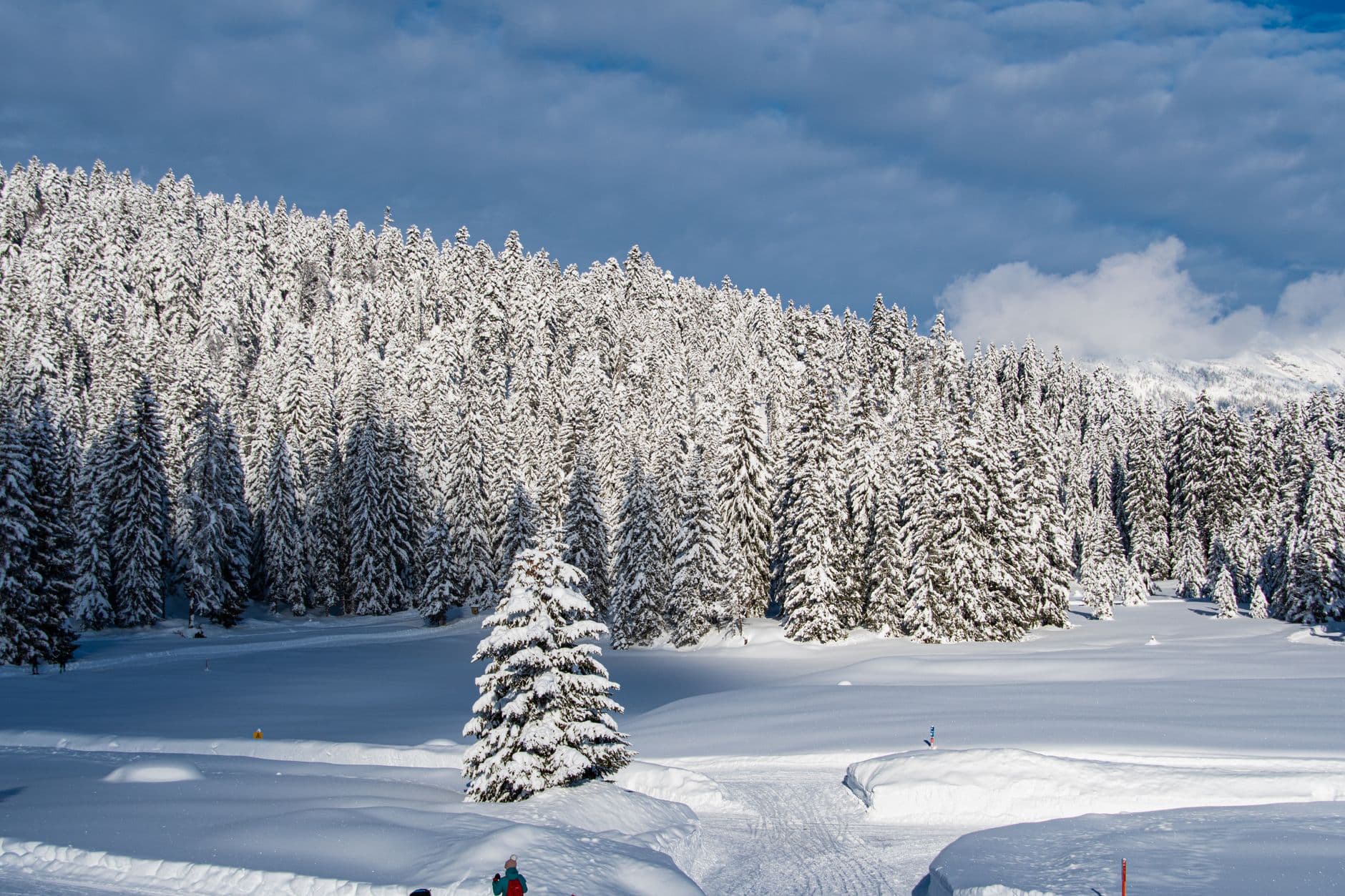 Skiregion Seefeld, Oostenrijk