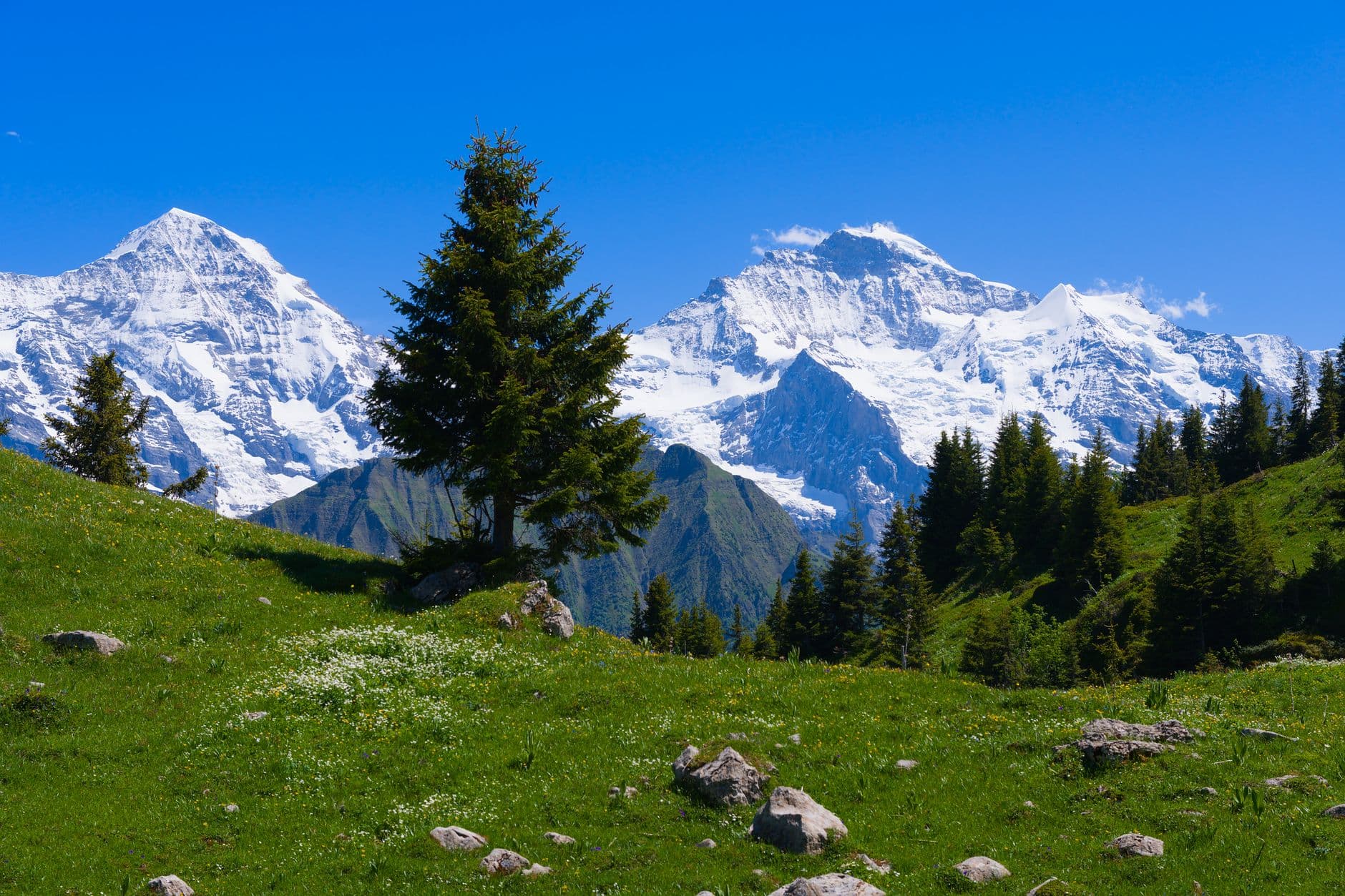 Berner Oberland, Zwitserland