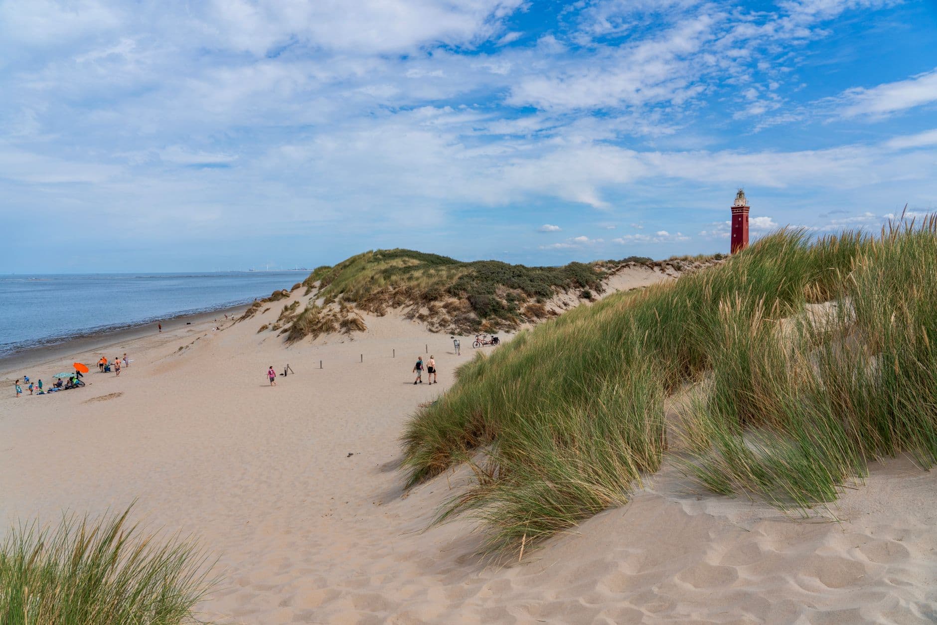 Noordzeekust, Nederland