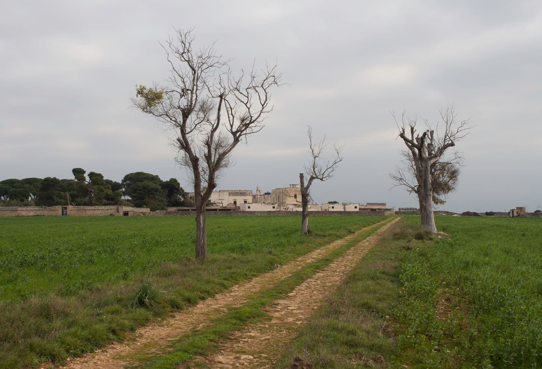 Puglia, Italië