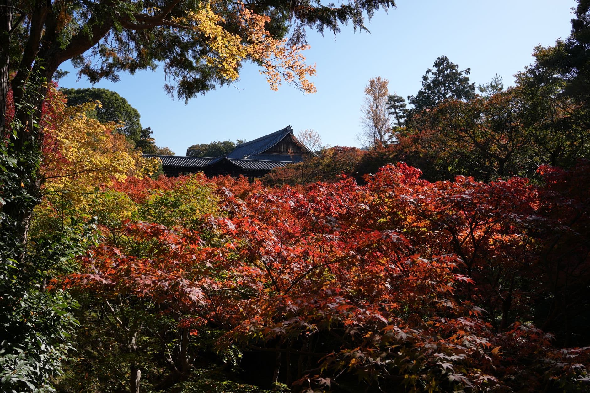 Tempel in Kyoto, Japan
