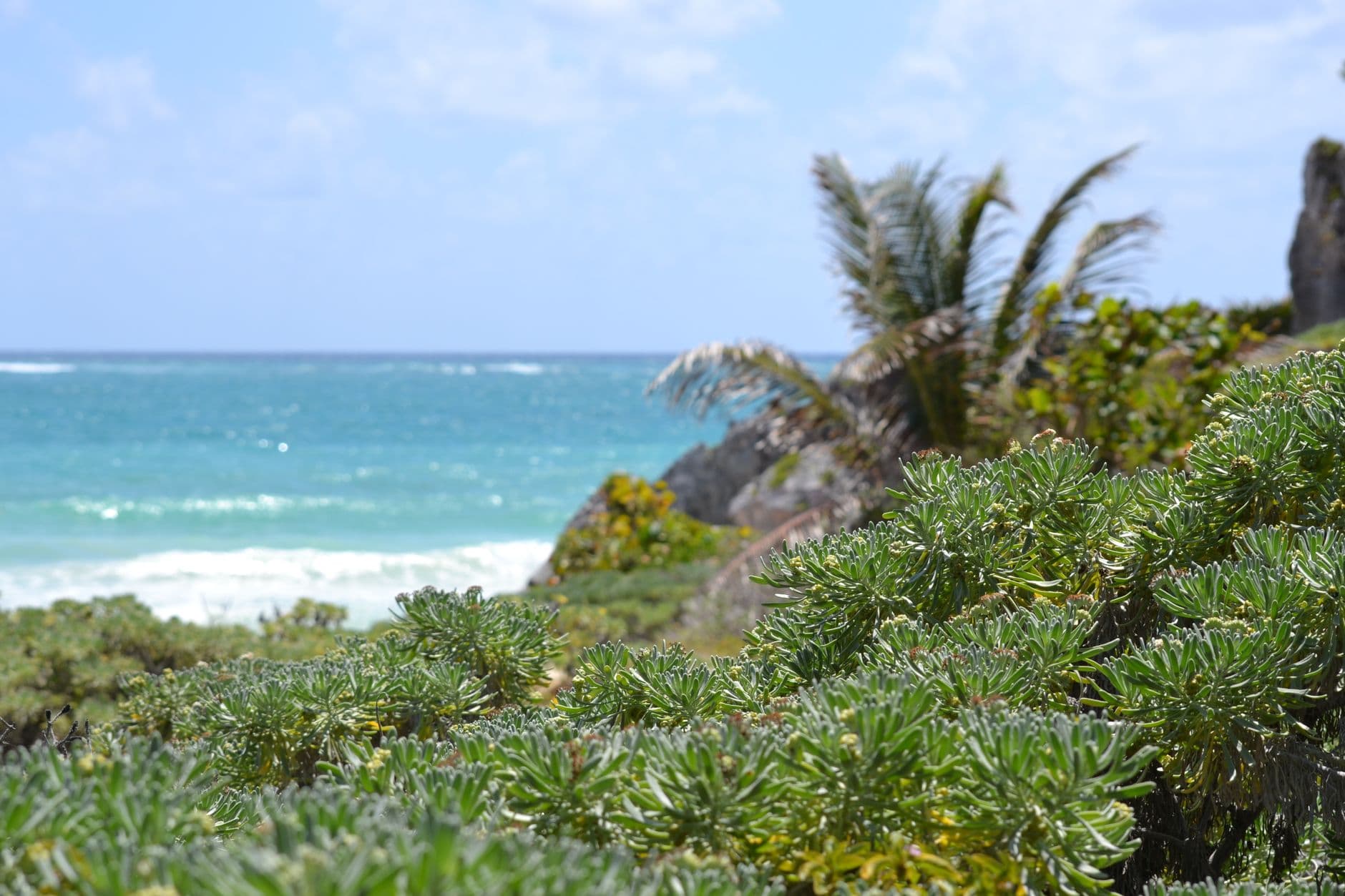 Caribisch strand bij Tulum, Mexico