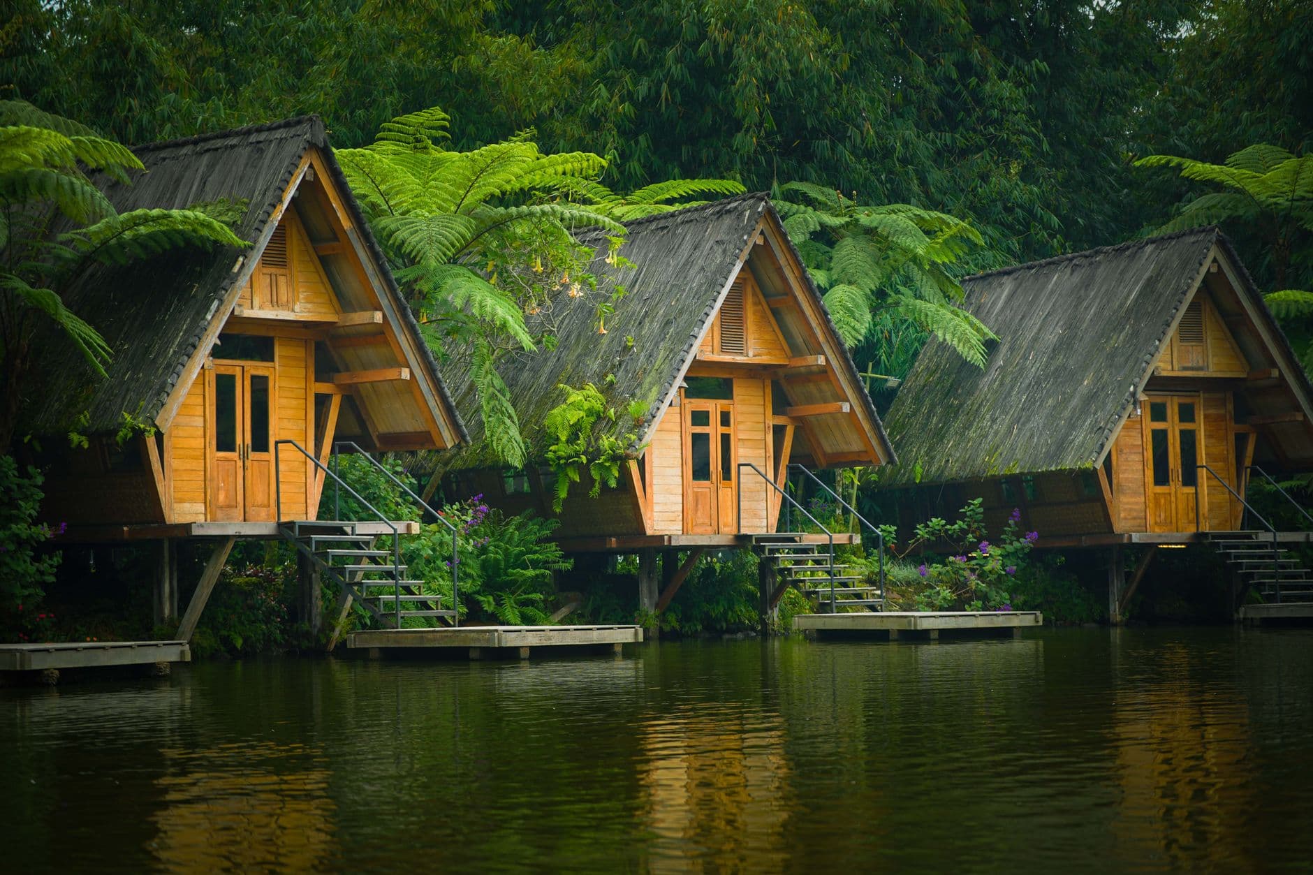Vakantiepark in Nederland