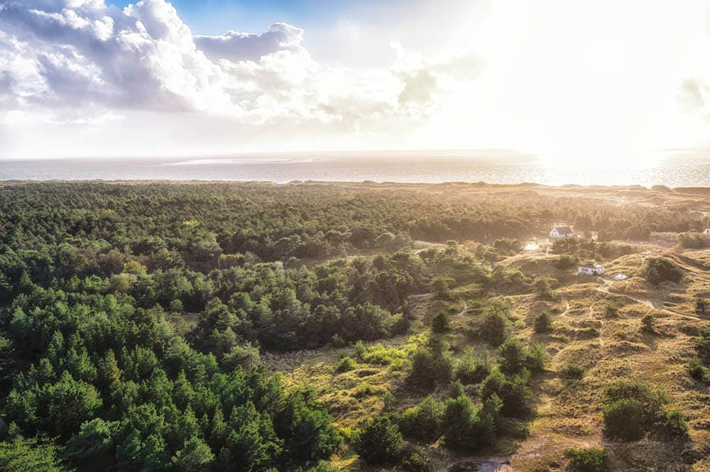 Roompot Ameland: ontdek het perfecte vakantiepark in Hollum