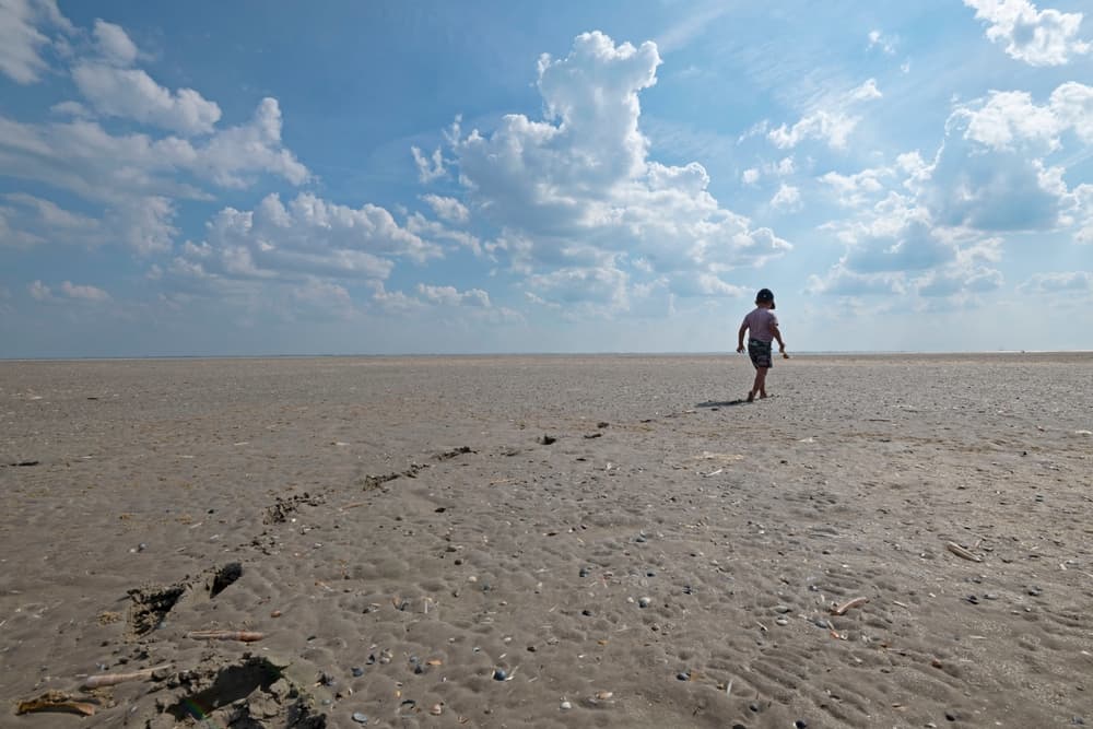 Campings Ameland