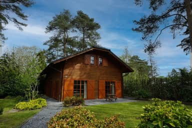 Boekhorst l'etage 12