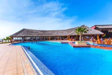 Royal Horizon Baobab