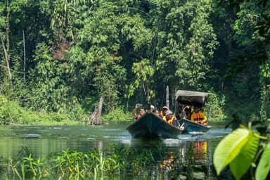 3-daagse bouwsteen Belum Rainforest