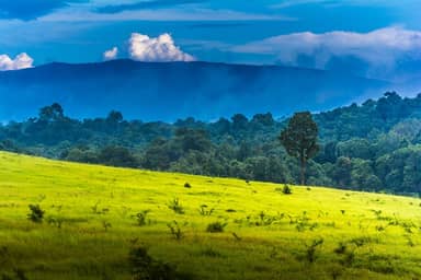 3-daagse bouwsteen Khao Yai National Park