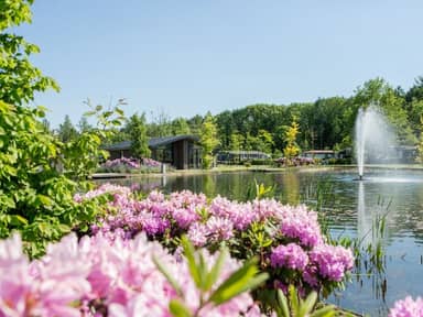 Vakantiepark Molenvelden