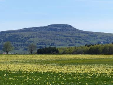 Domaine des Vans
