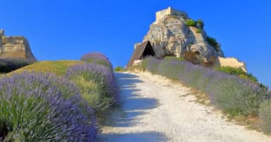 Wandelen in de Provence Frankrijk - 6 dagen