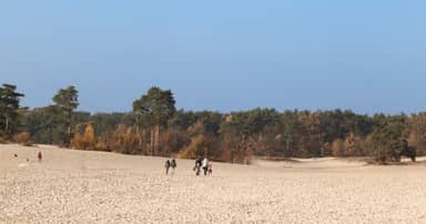 Heuvelrughike - wandelvakantie de Utrechtse Heuvelrug
