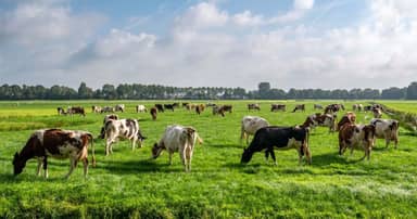 Gaasterland en Friese meren