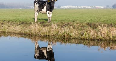 Fietsvakantie Hollandse Hoogtepunten - 7 dagen