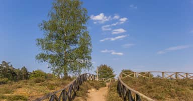 Wandelvakantie Ommen naar Vorden - Eigenwijze Reizen
