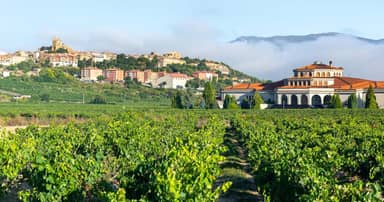 Fietsvakantie door La Rioja - 7 dagen - Spanje