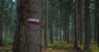Van Schoonloo naar Ommen - Eigen-wijze Reizen