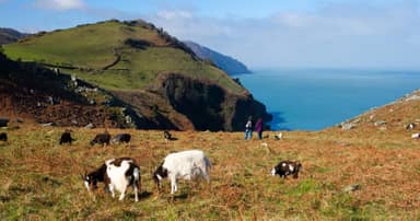 Wandelvakantie Exmoor in Somerset & Devon - 8 dagen