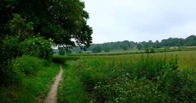 Wandelen van Gennep naar Roermond - Eigen-wijze Reizen