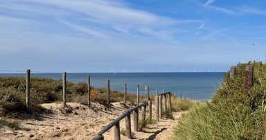 Fietsvakantie hoogtepunten van Nederland - tulpentour