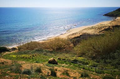 Village Camping Fico D'india