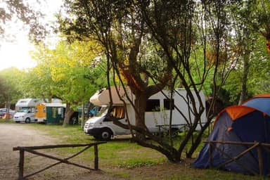 Camping Internazionale Di Castelfusano