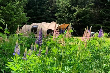 Tolne Camping