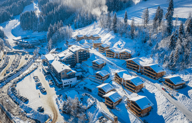 Chalet Dorf Wagrain Alpenleben